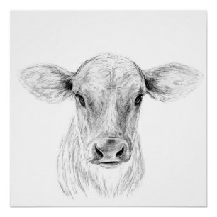 Moo A Young Jersey Cow Perfect Poster