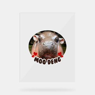 MOO-DENG LE CÉLÈBRE BÉBÉ PIGMY HIPPO MOODENG - OFF