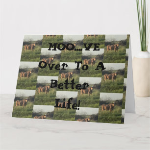 Moo...Ik ben er. Kaart