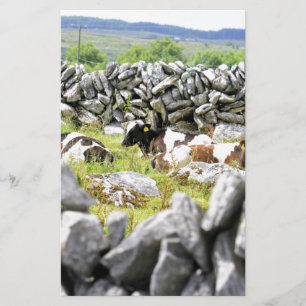 Moo Koeien Briefpapier