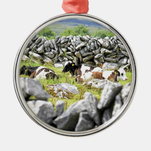Moo Koeien Metalen Ornament (Voorkant)