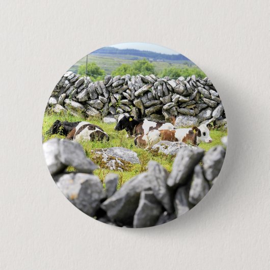 Moo Koeien Ronde Button 5,7 Cm (Voorkant)