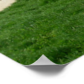 Moo landschap met bomen poster (Hoek)