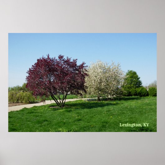 Moo landschap met bomen poster (Voorkant)