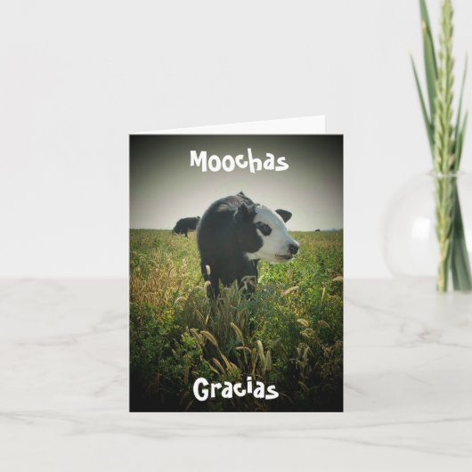 Moochas Gracias Bedankkaart (Voorkant)