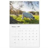 Moochi le mini calendrier de vache (Feb 2027)