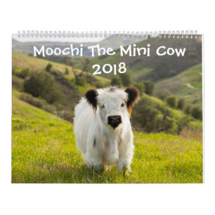 Moochi The Mini Cow 2018 Agenda Kalender