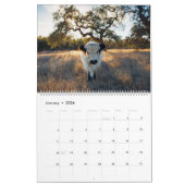 Moochi The Mini Cow 2018 Agenda Kalender (Jan 2026)