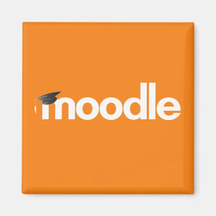 Moodle Magnet: Sinaasappel Magneet