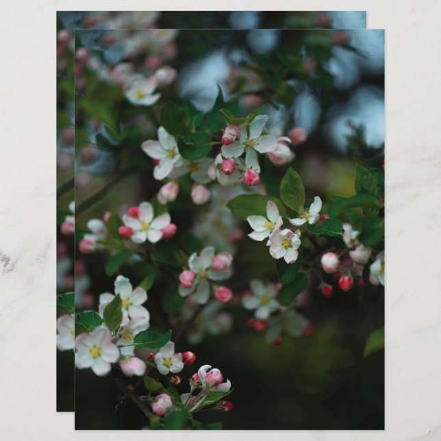 Moody apple tree blooms Scrapbook Paper (Voorkant / Achterkant)