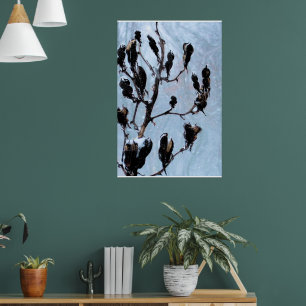 Moody Blues Natuur Pods Poster