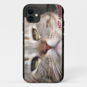 Moody Cat iPhone 11 Hoesje