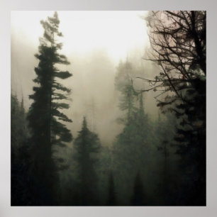 Moody Foggy Treescape Landscape Painting Poster