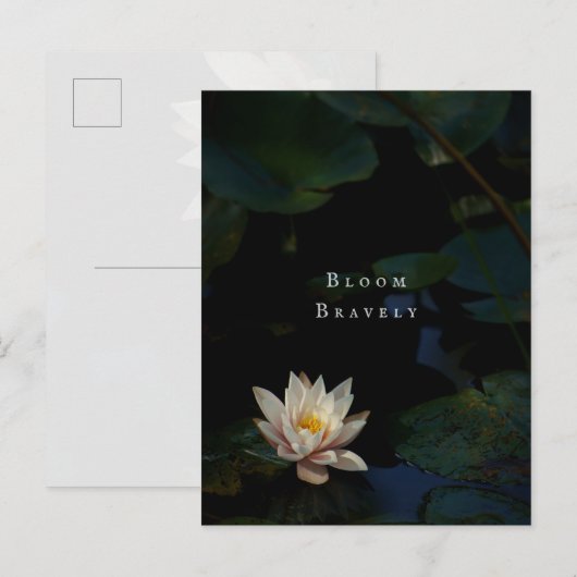 Moody Lily Pad Pond Nature Briefkaart (Voorkant / Achterkant)