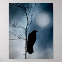 Moody Moon en Crow