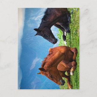 Moody Mountain Horses: Een fijne kunst reis  Briefkaart