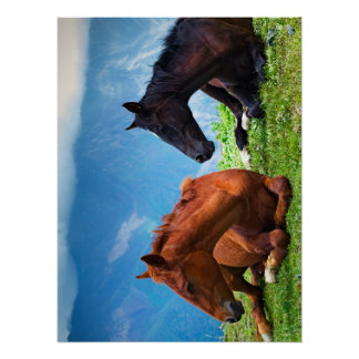 Moody Mountain Horses: Een fijne kunst reis Perfect Poster