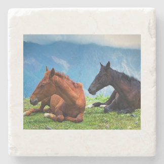 Moody Mountain Paarden: Een Fijne Kunst Reis  Stenen Onderzetter