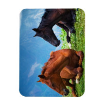 Moody Mountain Paarden: Fijne Kunst 