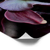 Moody Red Floral Poster Art (Coin)