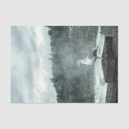 Moody Seagull-ontkoppelpapier Tissuepapier (Voorkant)