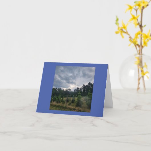 Moody sky en pines kaart (Gele Bloem)