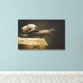 Moody slak, langzame omlaag, canvas kunstdruk (Insitu (Houten vloer))