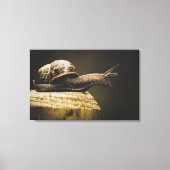 Moody slak, langzame omlaag, canvas kunstdruk (Voorkant)