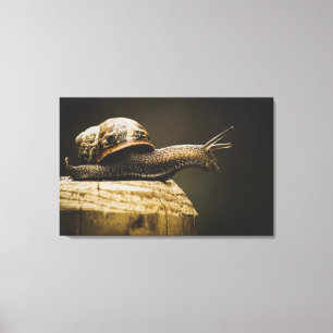 Moody slak, langzame omlaag, canvas kunstdruk afdruk