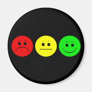 Moody Stoplight Trio Magneet