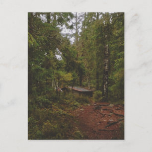 Moody Swedish Forest Briefkaart