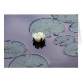 Moody Water Lily (Voorkant Horizontaal)