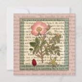 Mooi Antiek Roos Tuin Party Kaart (Voorkant)