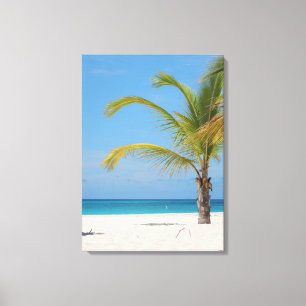 Mooi Aruba Canvas Afdruk