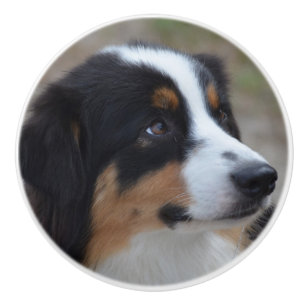 Mooi Aussie Keramische Knop