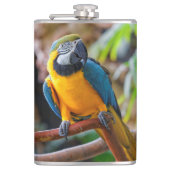 Mooi blauw en Gold Macaw Heupfles (Voorkant)