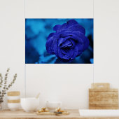 Mooi blauw roos poster (Keuken)