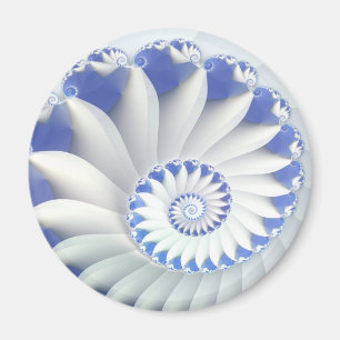 Mooi Blauw & Wit Fijn Fractal van Shell van het Magneet