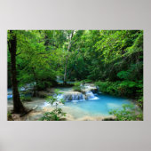 Mooi bos poster (Voorkant)