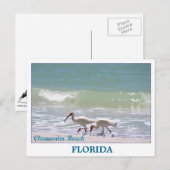 Mooi briefkaart Clearwater Beach Florida (Voorkant / Achterkant)