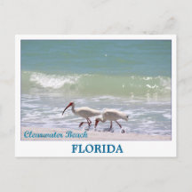 Mooi briefkaart Clearwater Beach Florida