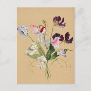 Mooi  Briefkaart van Botanische Illustratie