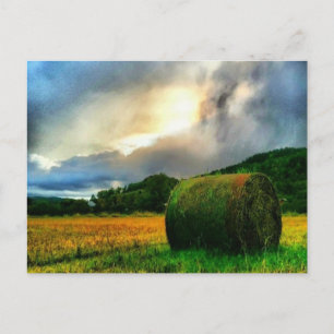 Mooi briefkaart van een hooiveld