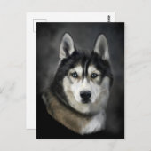 Mooi Briefkaart van Siberian Husky (Voorkant / Achterkant)