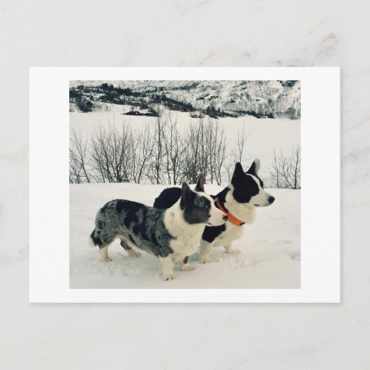 Mooi Briefkaart voor feestdagen (Voorkant)