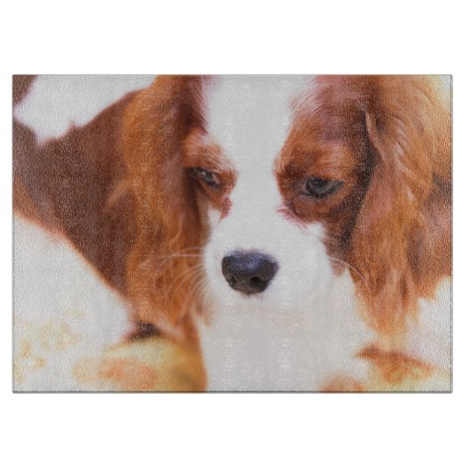 Mooi Cavalier King Charles Spaniel Snijplank (Voorkant)