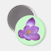 Mooi Crocus Magnet Magneet (Voorkant / Achterkant)