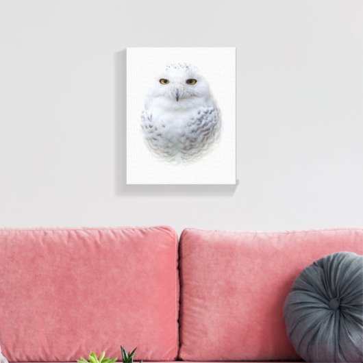 Mooi, drommelig en Serene Snowy Owl Canvas Afdruk (Insitu (Woonkamer))