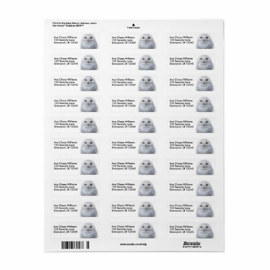 Mooi, drommelig en Serene Snowy Owl Etiket (Full Sheet)