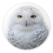 Mooi, drommelig en Serene Snowy Owl Keramische Knop (Voorkant)